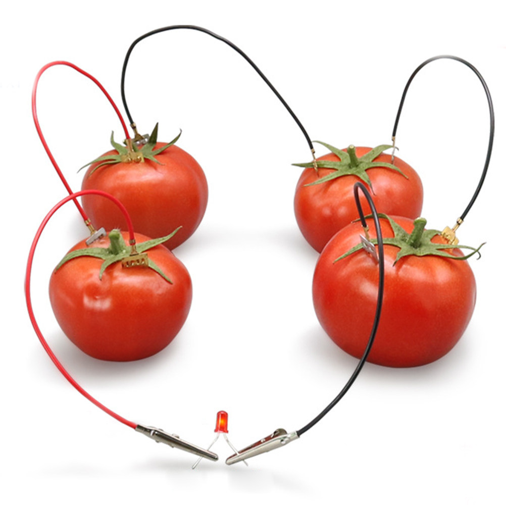 Diy Electronics Projects For Kids - Kit Eksperimen Sains Baterai Buah Kentang